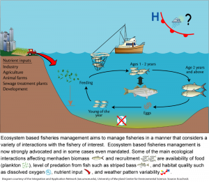 Moving in the Right Direction: Two Big Wins for Forage Fish - Save the ...