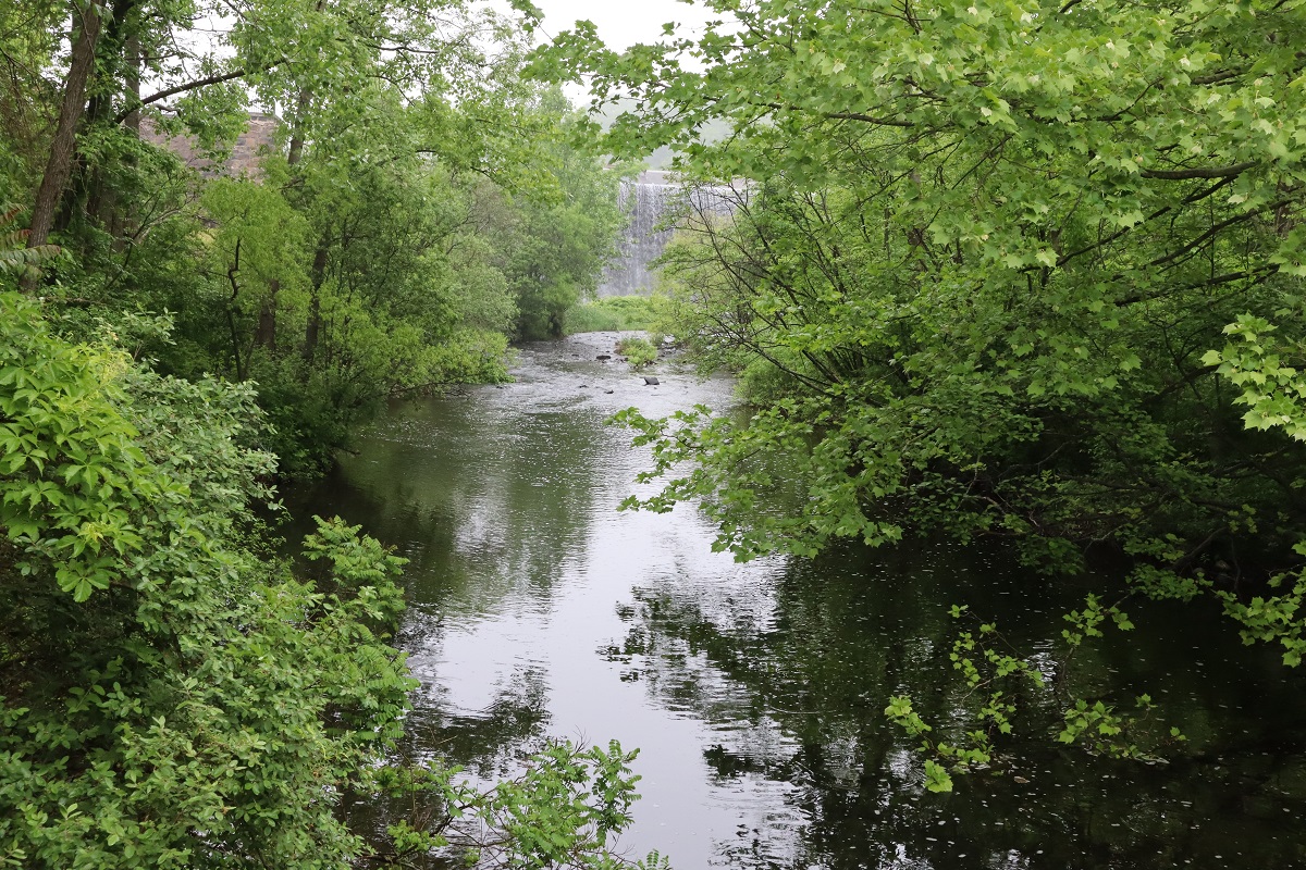 Mill River near Eli Whitney Museum