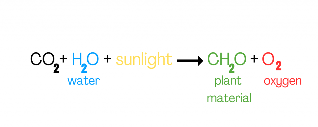 CO2-H2O-sunlight- -CH2O-O2-water-plant-material-oxygen - Save the Sound